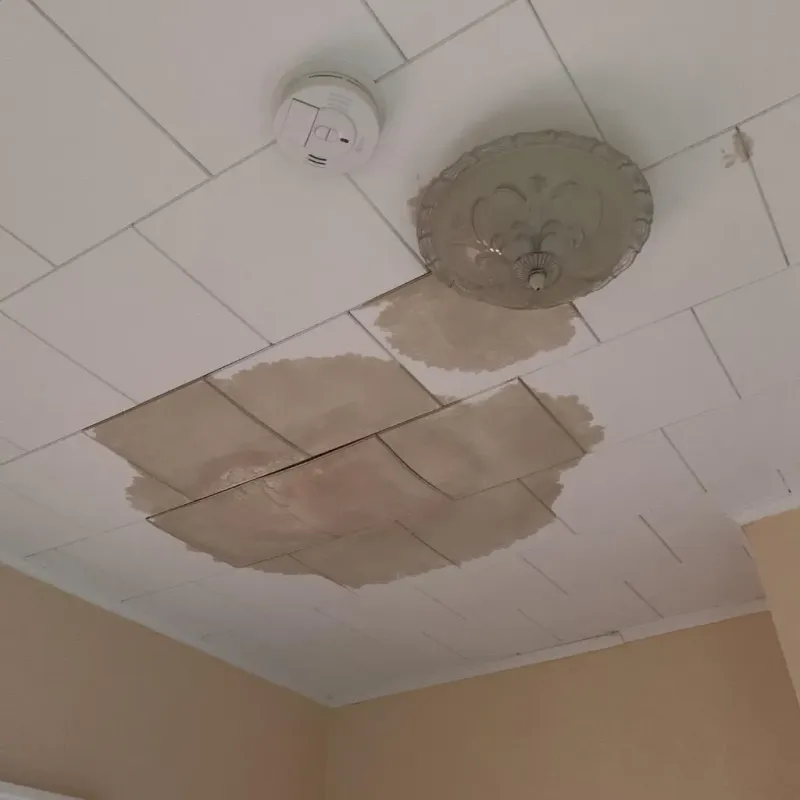 Ceiling Water Damage Repair in Stonewall, LA