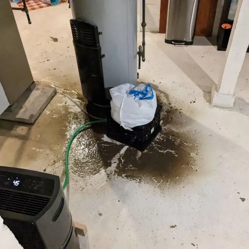 Sewage Backup Cleanup Service in Stonewall, LA